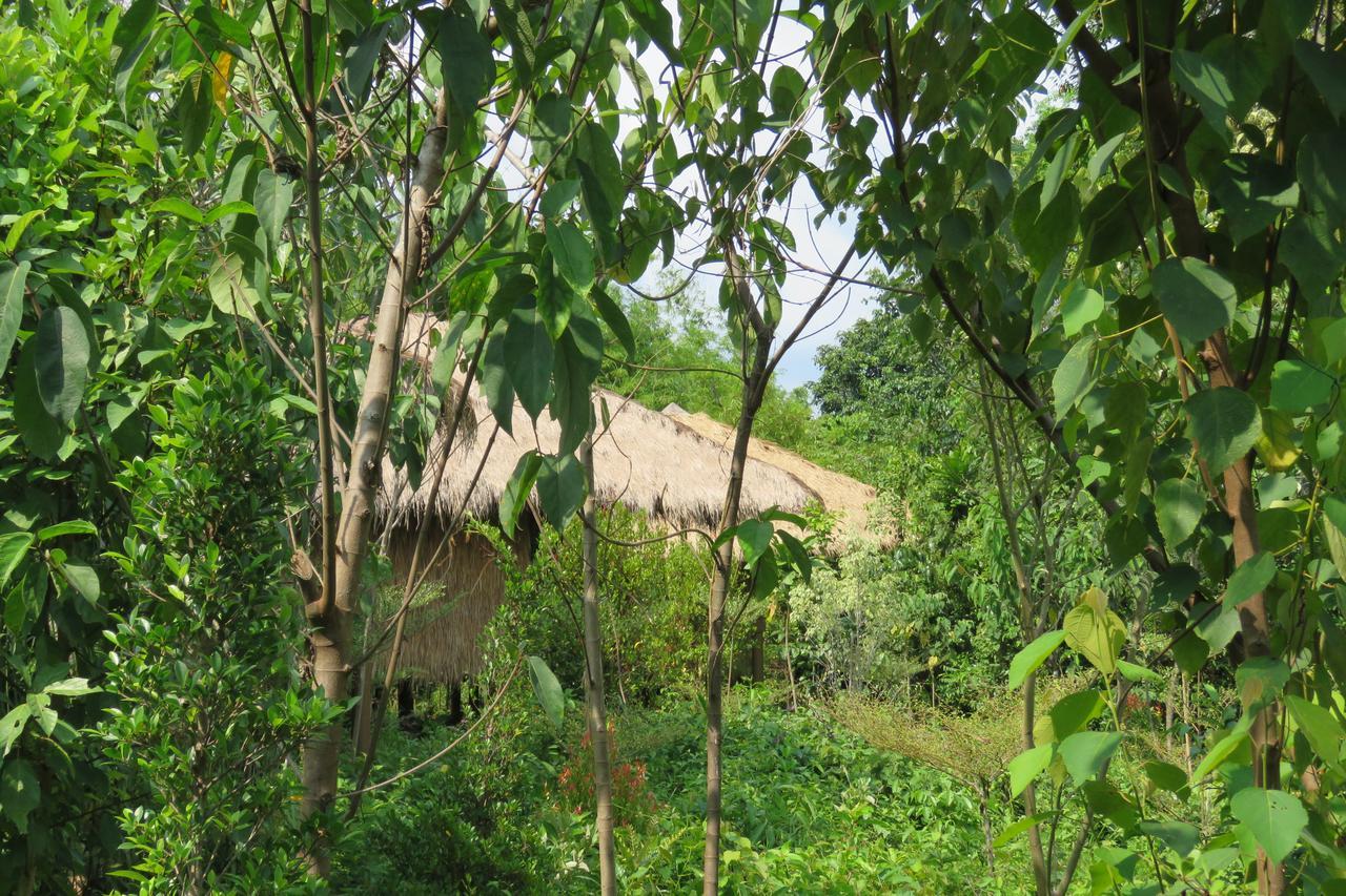 เรนโบว์ ลอดจ์ ตาไต Hotel Tatai ภายนอก รูปภาพ